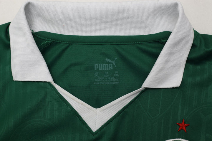 Mens Puma 2023–2024 Palmeiras Soccer Jersey Green Team Logo Size XXL