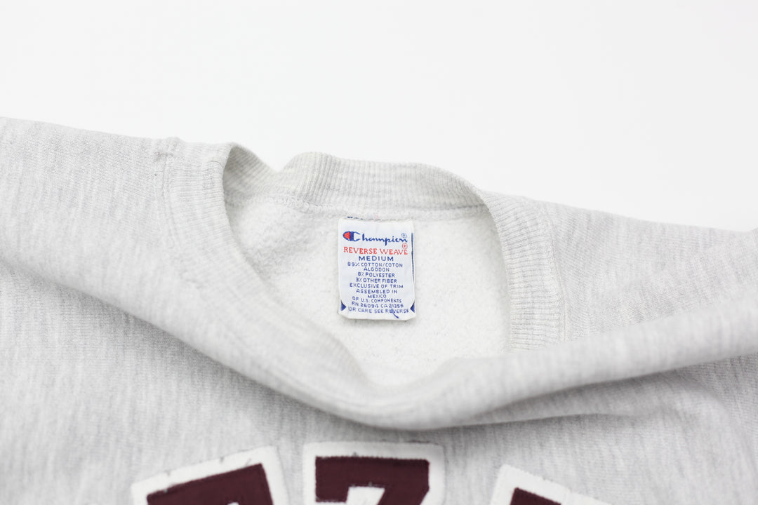 Vintage Champion Reverse Weave Pritzker Sweatshirt
