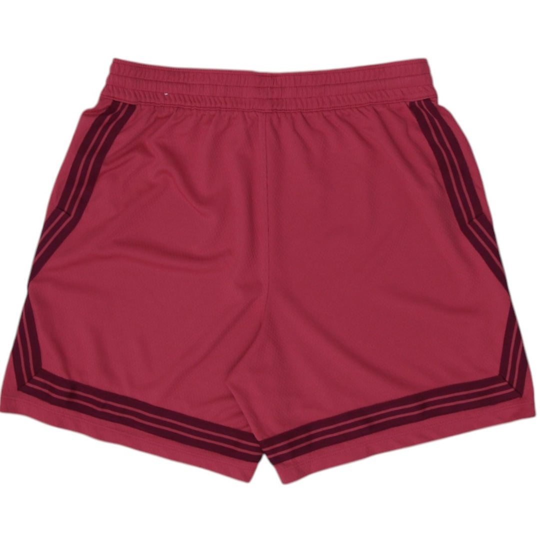 Nike Dri-Fit Stripe Athletic Breathable Shorts Size L | Migration_Shorts - Side View | Fashion Rerun