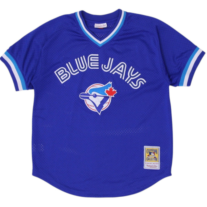 Mens Mitchell & Ness Toronto Blue Jays #29 Authentic Mesh Baseball Jersey