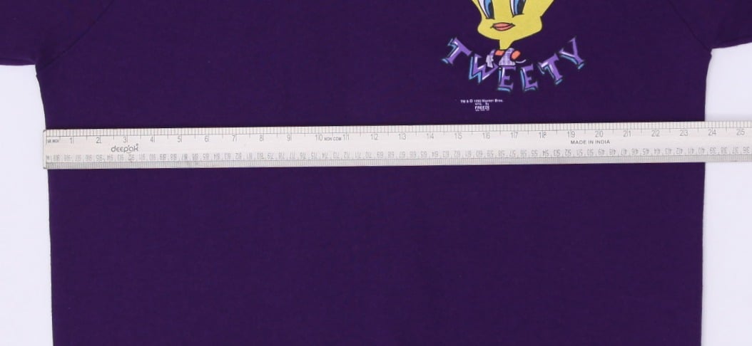 Vintage Fruit of the Loom Tweety Sweatshirt Purple Graphic Size XXL | Migration_Sweatshirt - Alternate View | Fashion Rerun