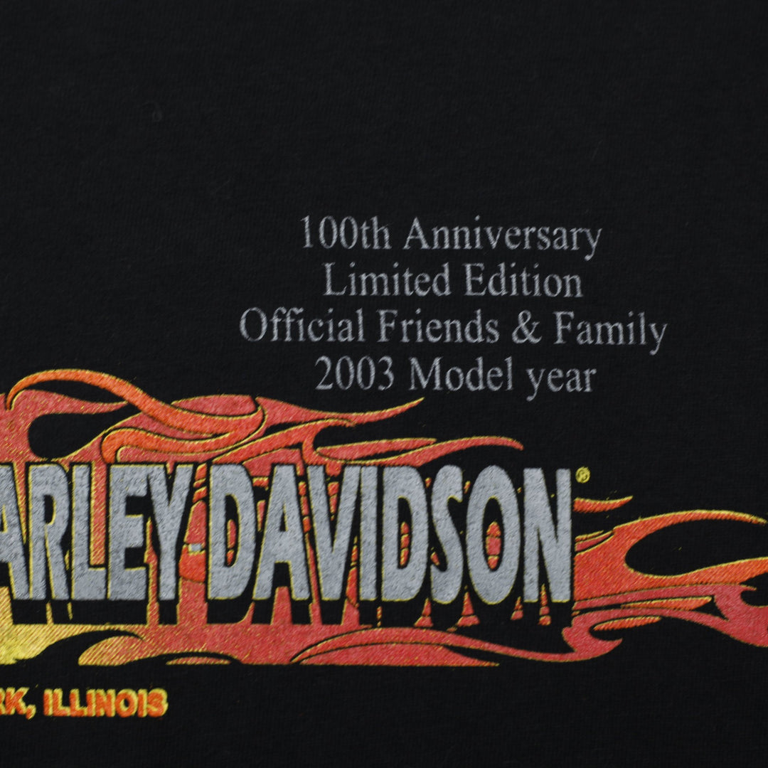 Vintage Mens Hanes Beefy-T Harley Davidson T-Shirt Black Graphic Size L