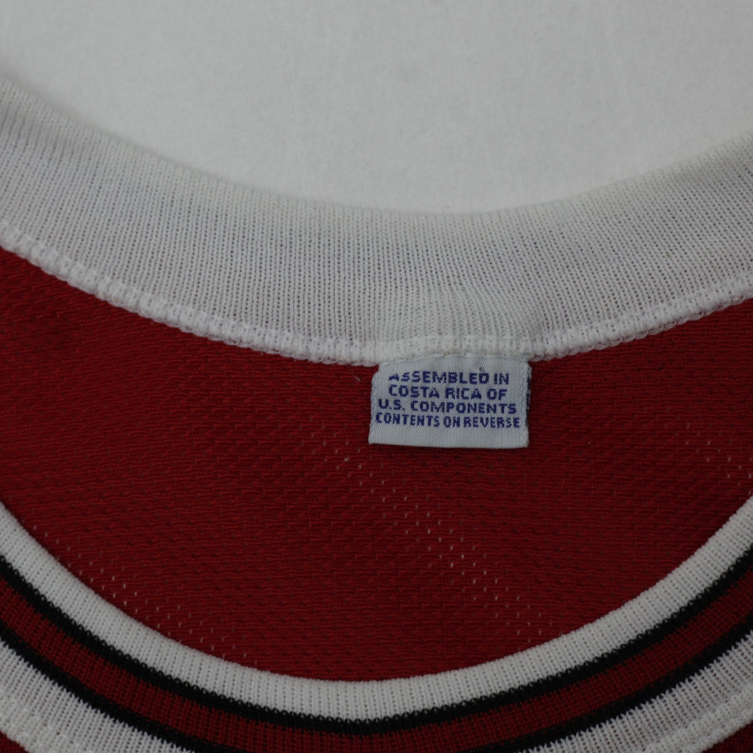 Vintage Champion Chicago Bulls Dennis Rodman #91 Red Basketball Jersey Size 48 | Migration_Jerseys - Back Vie | Fashion Rerun