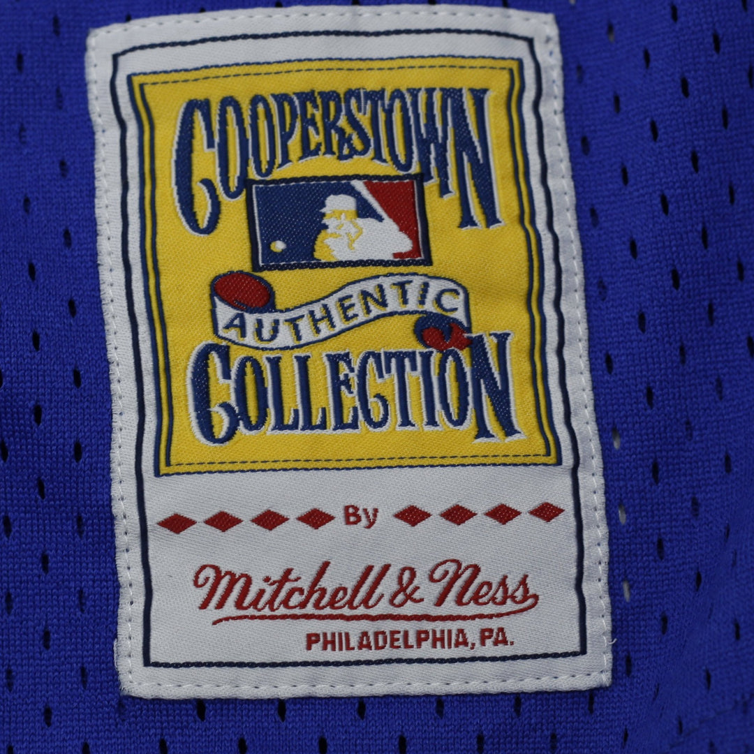 Mens Mitchell & Ness Toronto Blue Jays #29 Authentic Mesh Baseball Jersey