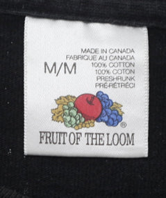 94 Vintage Eagles AOP T-Shirt Single Stitch M - Fashion Rerun Vintage Migration_T-Shirt