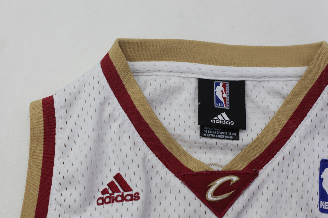 Youth Boys Adidas Swingman Cleveland Cavaliers Gibson Jersey