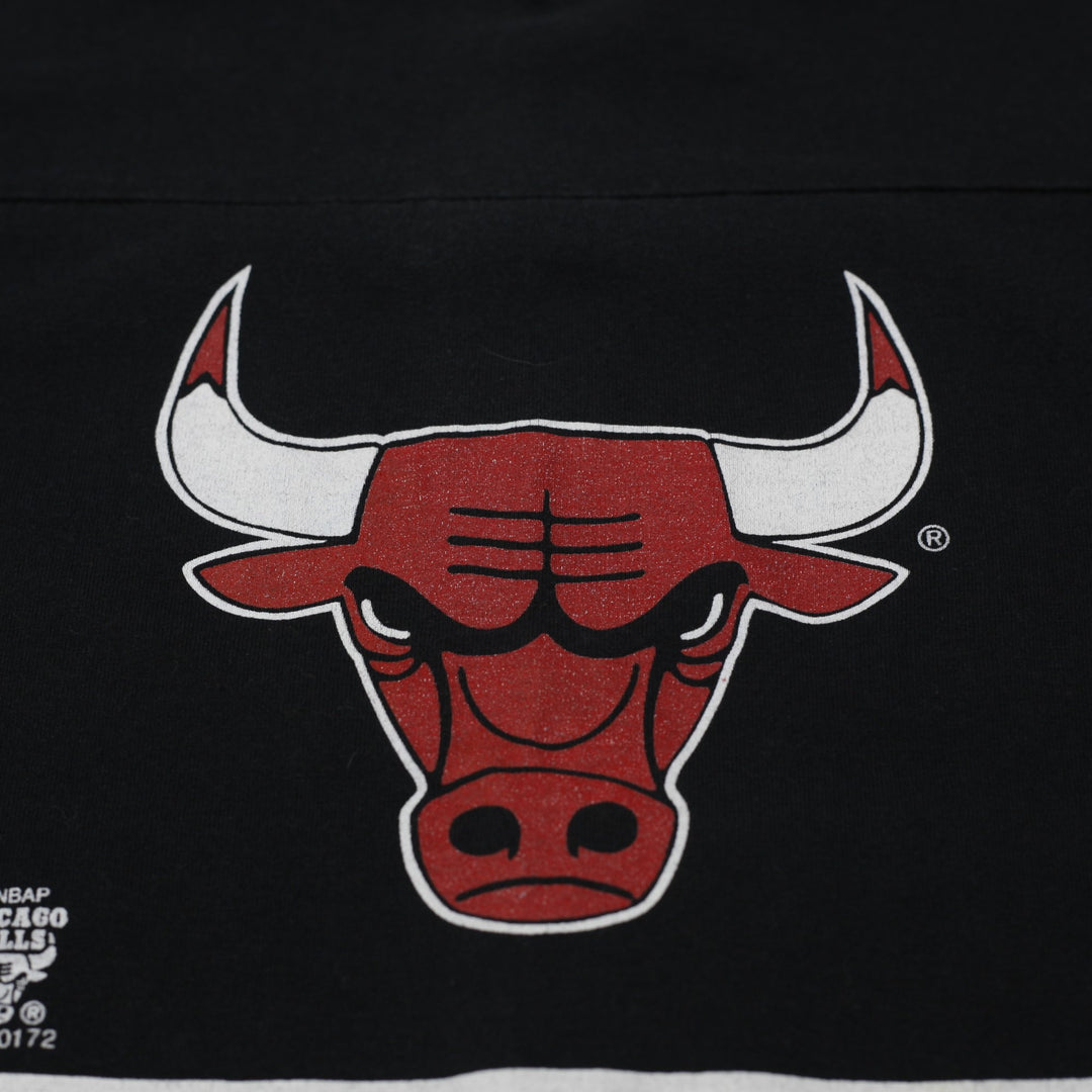 Vintage 1995 Chicago Bulls NBA Jersey Style T-Shirt