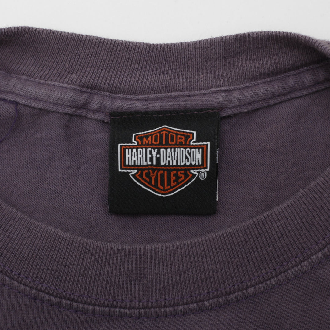 Vintage 2002 Harley Davidson Graphic Moto T-Shirt Size S | Migration_T-Shirts - Back View | Fashion Rerun