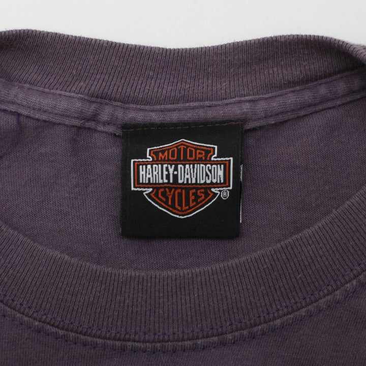 Vintage 2002 Harley Davidson Graphic Moto T-Shirt Size S | Migration_T-Shirts - Back View | Fashion Rerun