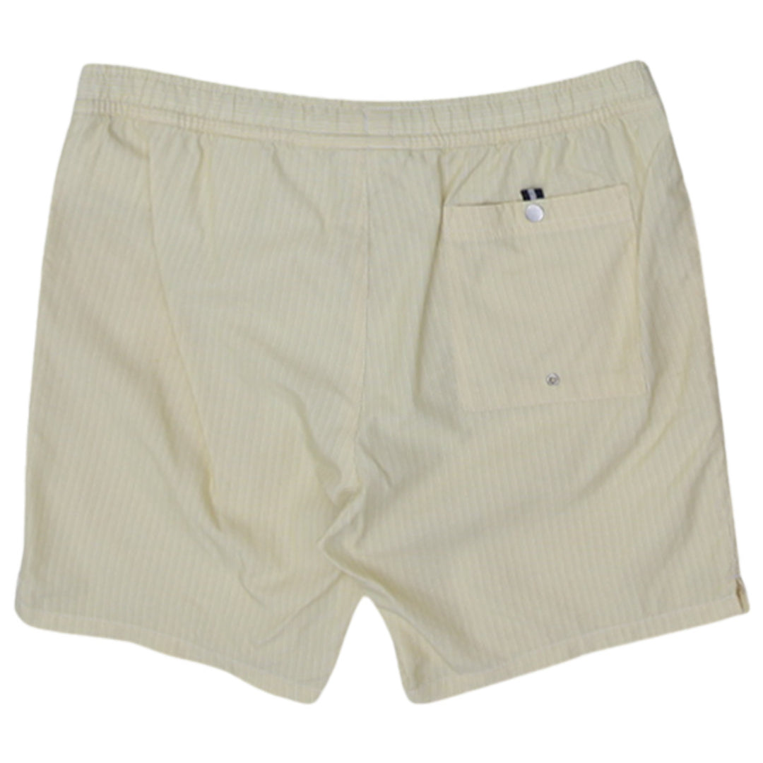 Mens Striped Lacoste Swim Trunks Shorts