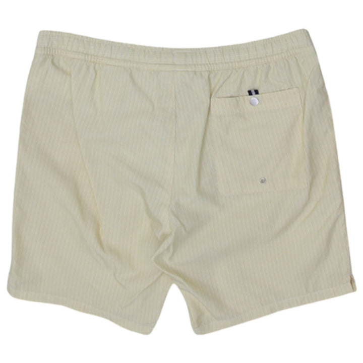 Mens Striped Lacoste Swim Trunks Shorts
