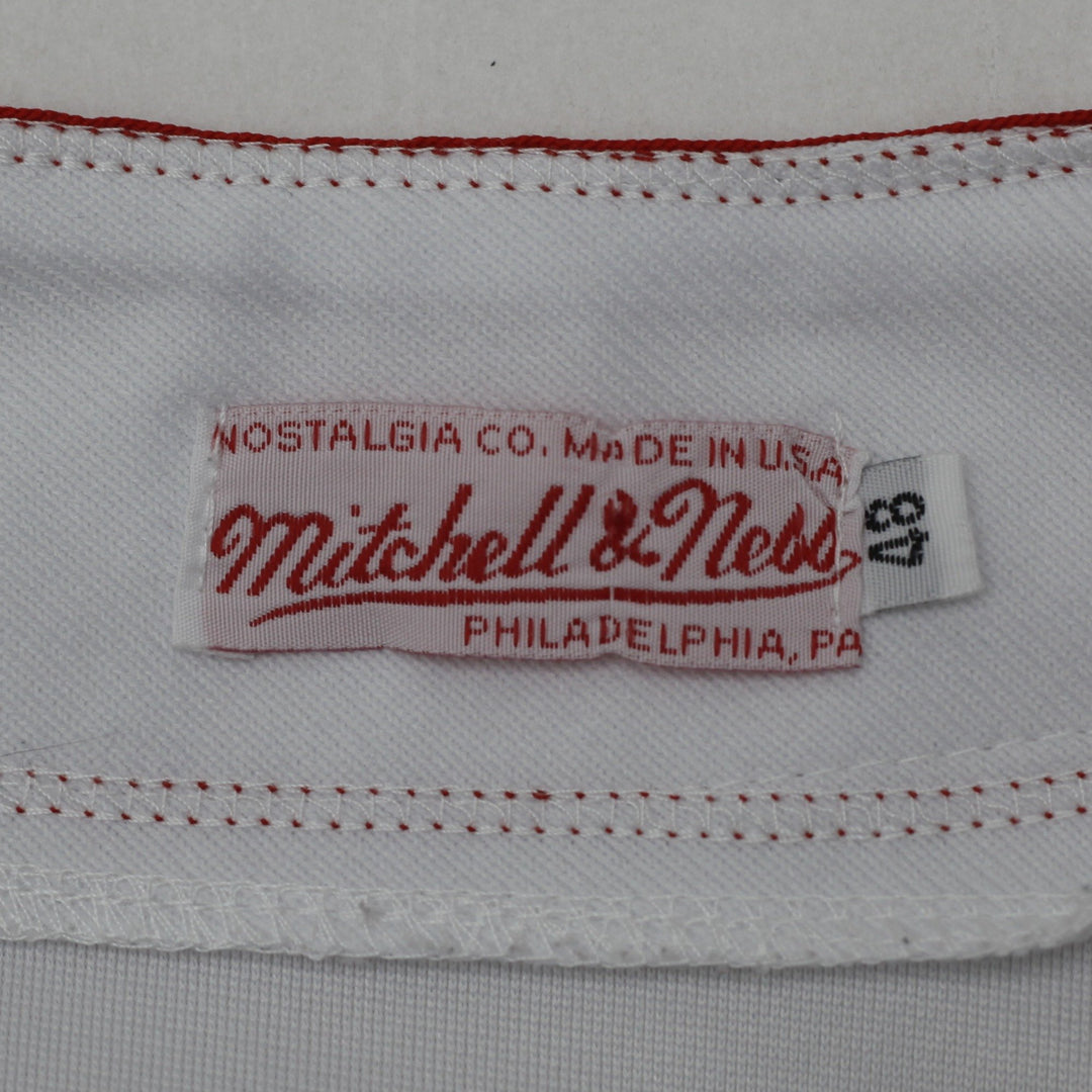 Vintage 1975 Mitchell & Ness Carl Yastrzemski Boston Red Sox MLB Jersey Made in USA Size XS | Migration_Jerse | Fashion Rerun