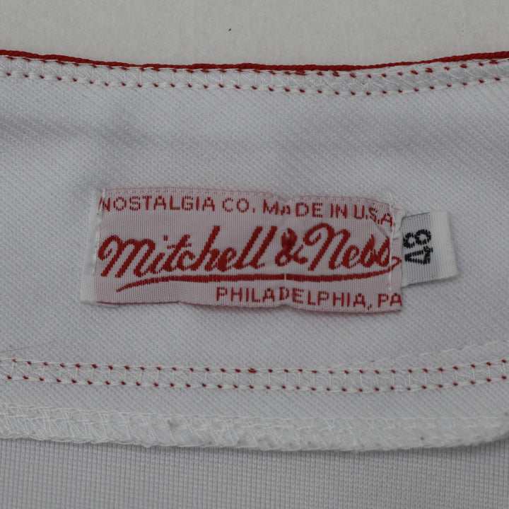 Vintage 1975 Mitchell & Ness Carl Yastrzemski Boston Red Sox MLB Jersey Made in USA Size XS | Migration_Jerse | Fashion Rerun