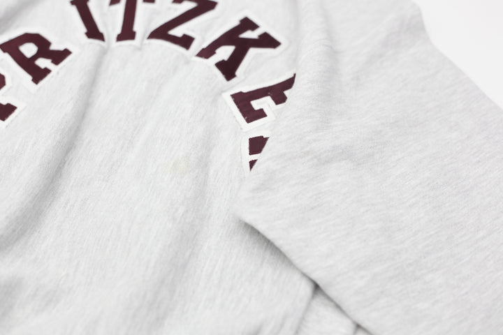 Vintage Champion Reverse Weave Pritzker Sweatshirt