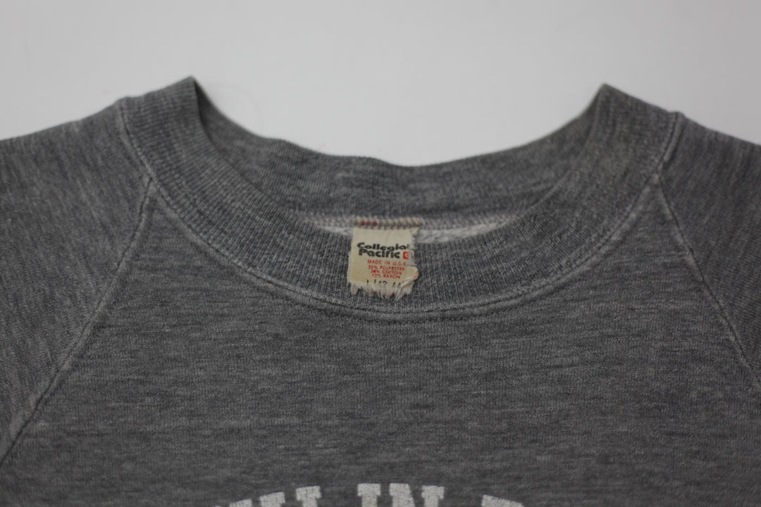 Vintage Franklin Pierce College Gray Crewneck Sweatshirt Made in USA