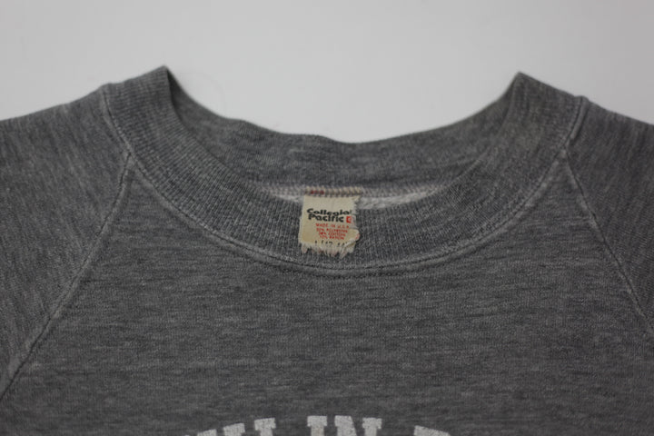 Vintage Franklin Pierce College Gray Crewneck Sweatshirt Made in USA