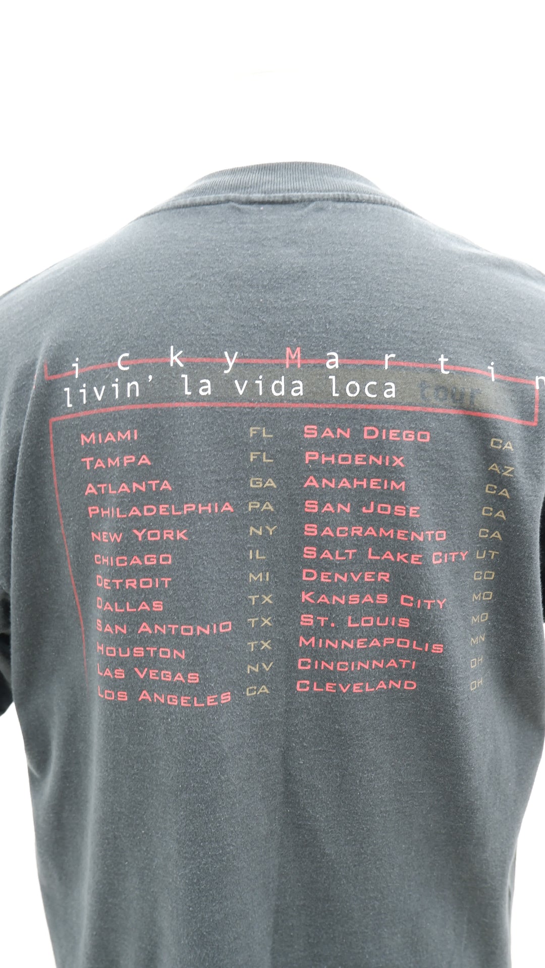Vintage Winterland 90's Ricky Martin Livin' La Vida Loca Tour T-Shirt