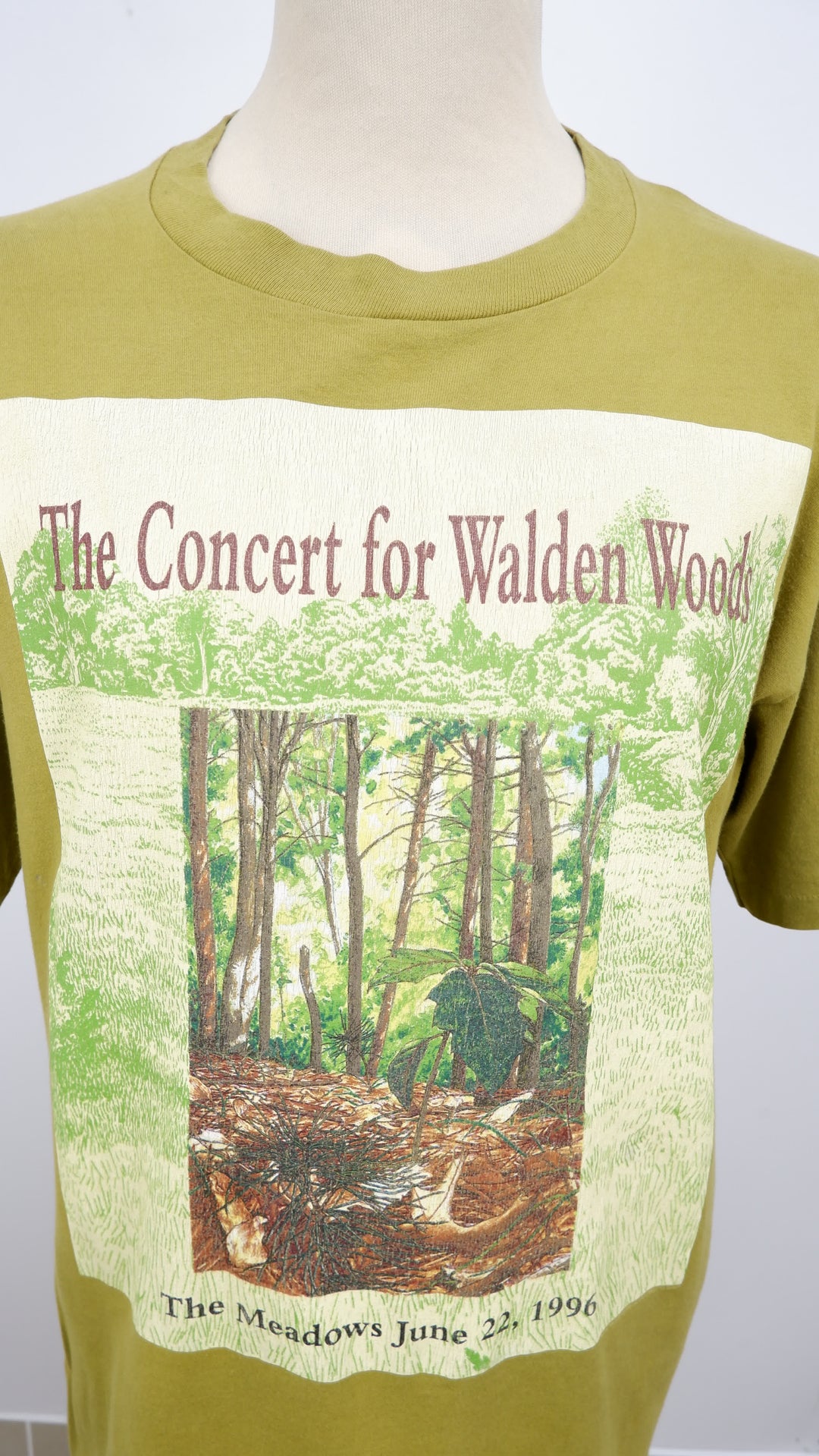 Vintage 1996 Eagles The Concert For Walden Woods T-Shirt Made In USA