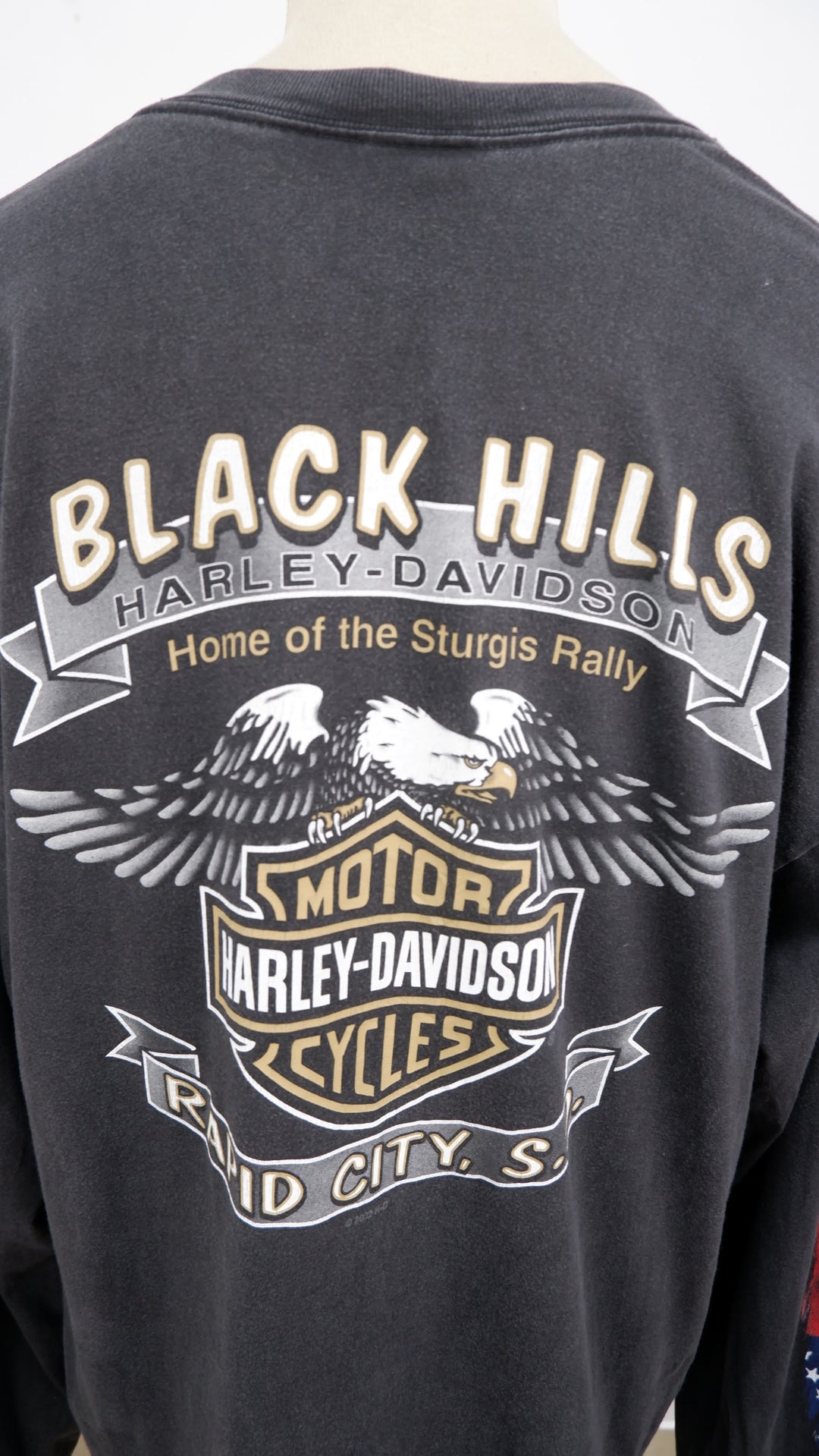Vintage 2002 Harley Davidson Sturgis Black Hills Rally Long Sleeve T-Shirt Made In USA