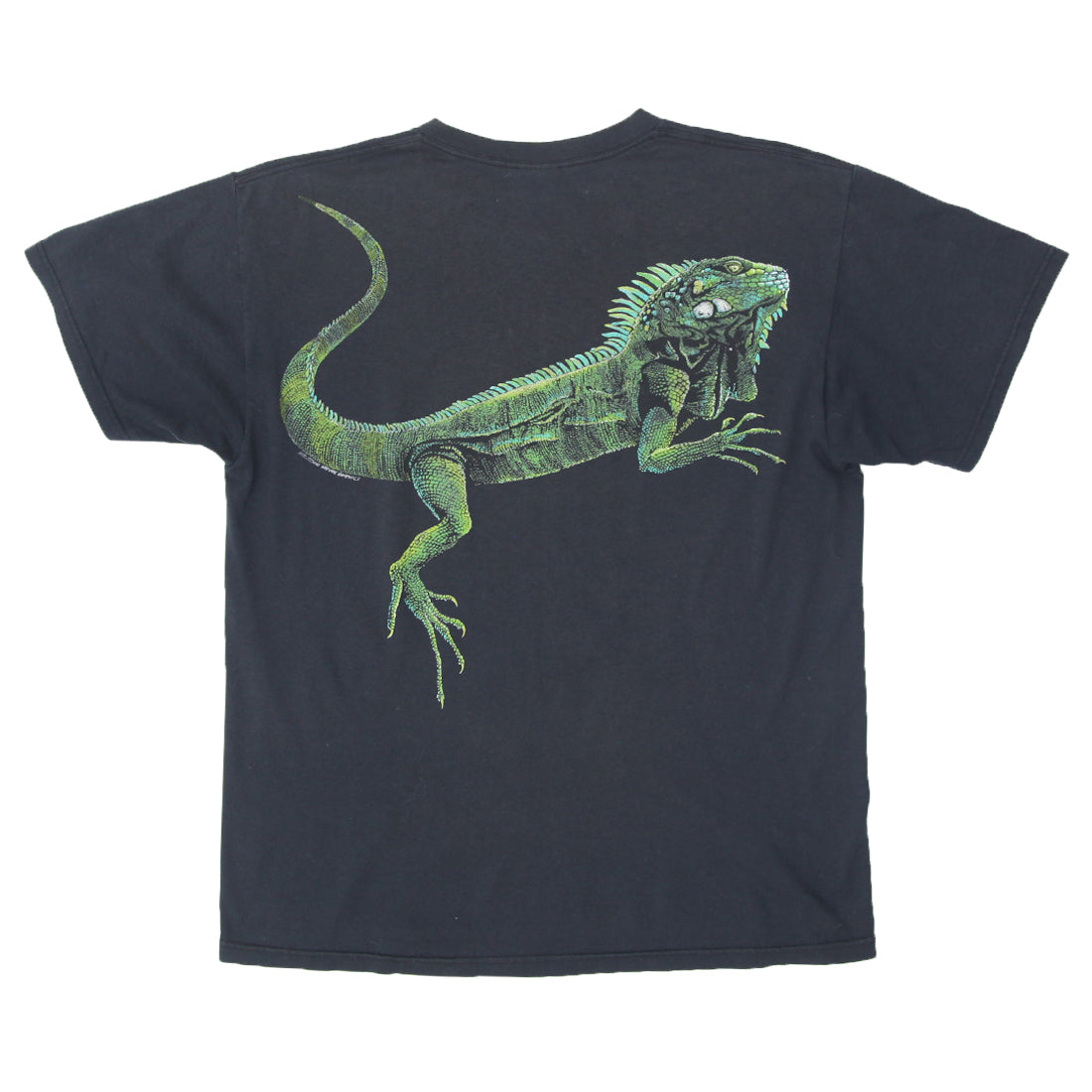 Shop Vintage Rancid Band Fall Back Down T-Shirt Fruit of the Loom