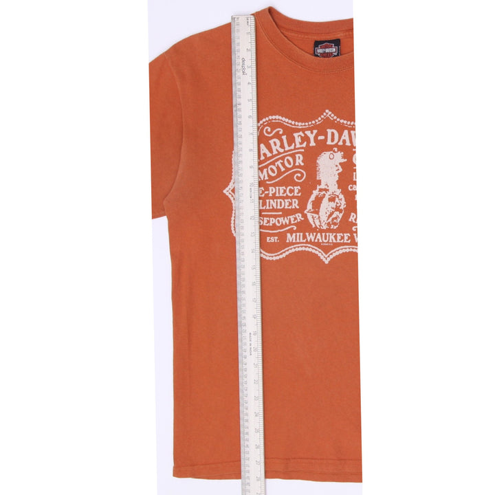 Vintage Harley Davidson Smoky Mountain US Fabric T-Shirt Size M