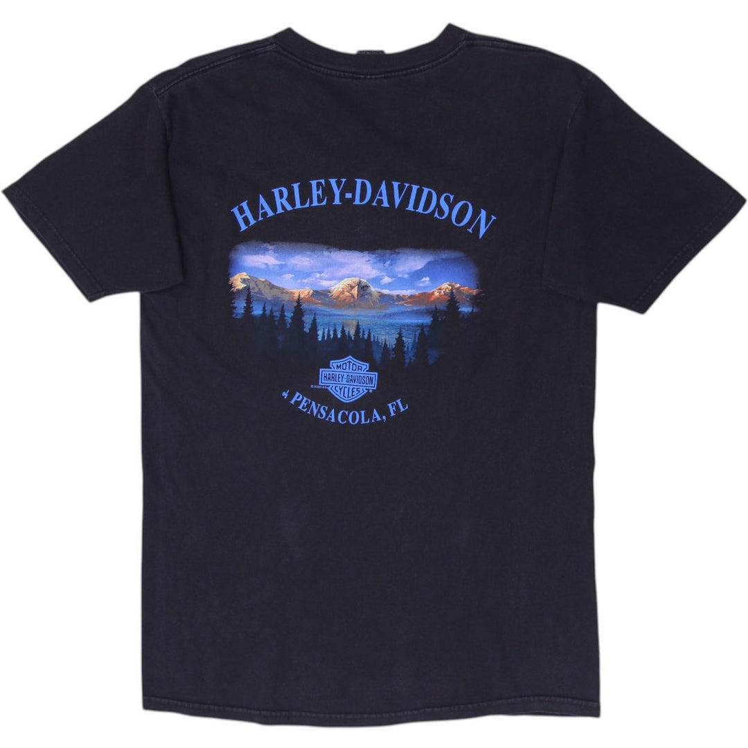 Vintage Black Harley Davidson Pensacola FL T-Shirt Size L