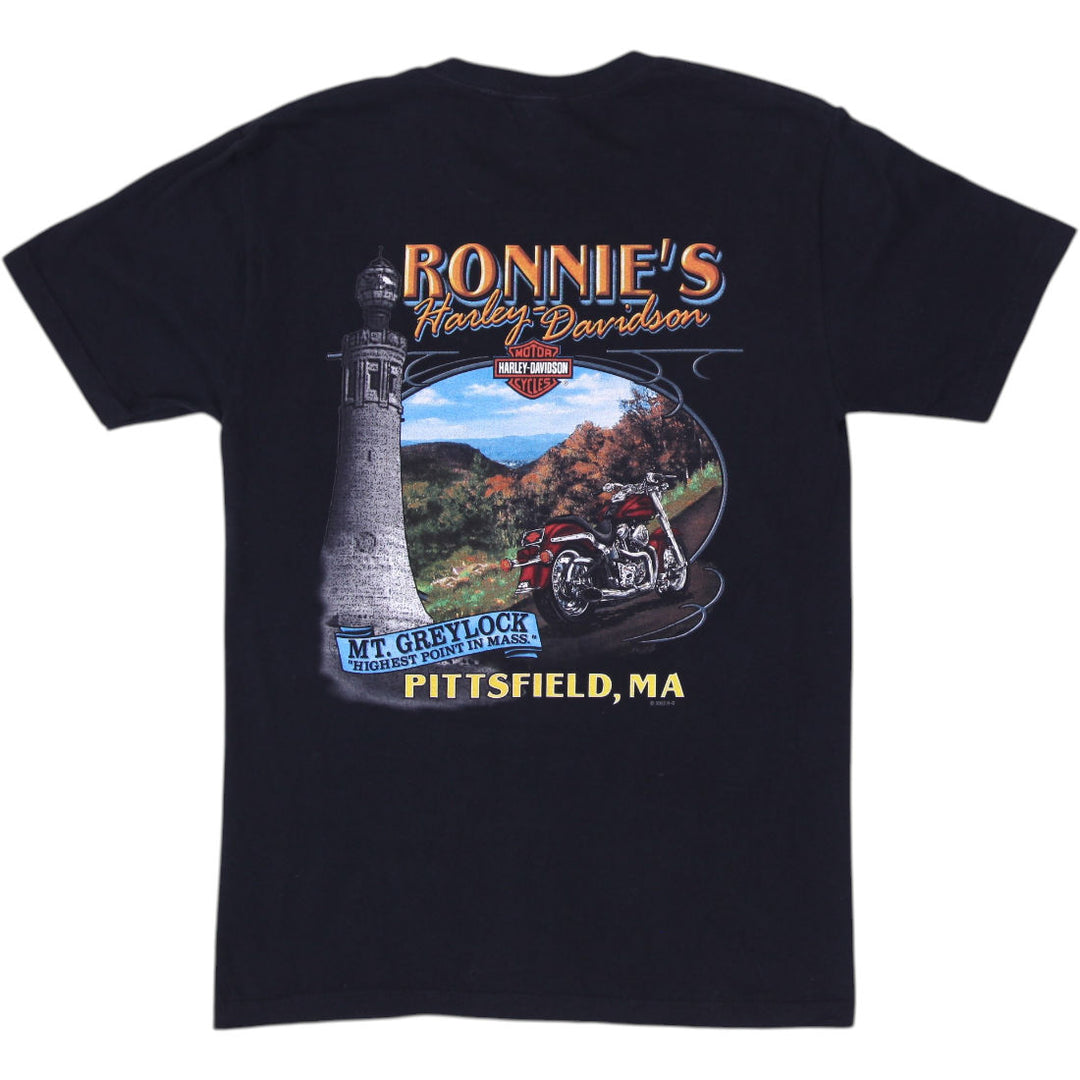 Mens Harley Davidson Graphic Logo Cotton T-Shirt Size M