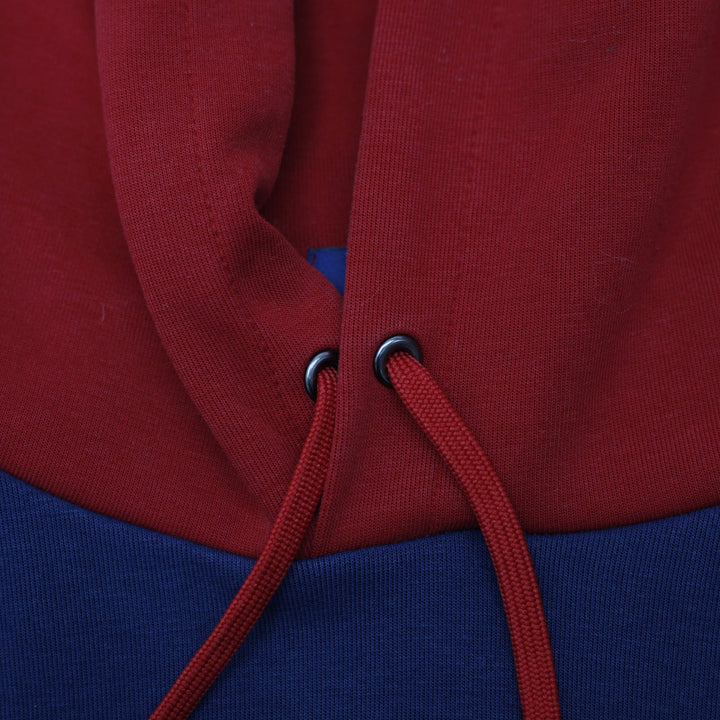 Polo Ralph Lauren Colorblock Hoodie Size L | Migration_Hoodies - Alternate View | Fashion Rerun