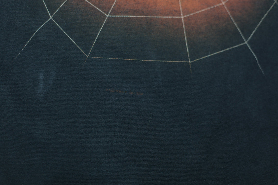 Vintage Alice Cooper Spider Web T-Shirt Tennessee River Black L