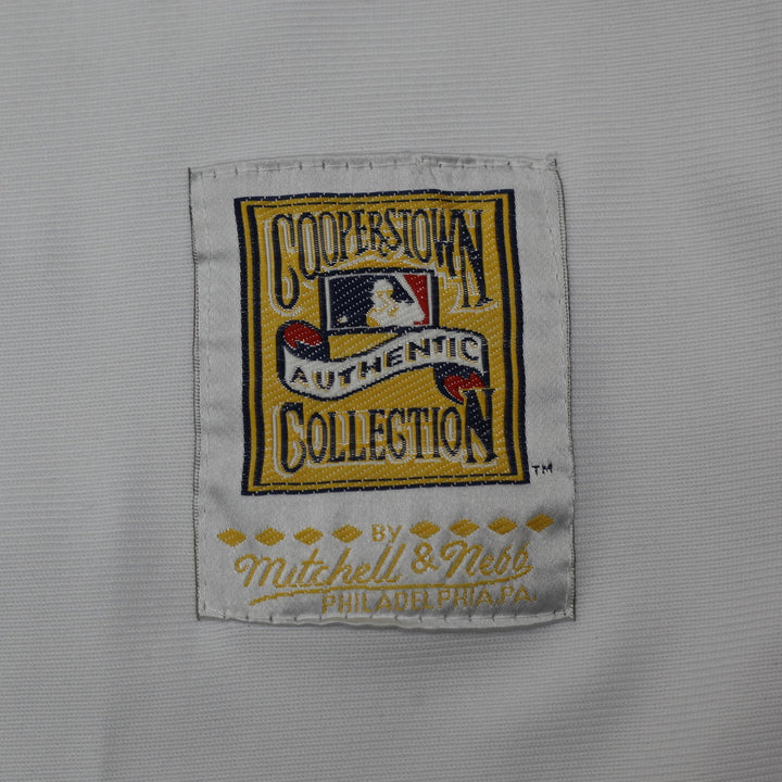 Vintage 1975 Mitchell & Ness Carl Yastrzemski Boston Red Sox MLB Jersey Made in USA Size XS | Migration_Jerse | Fashion Rerun
