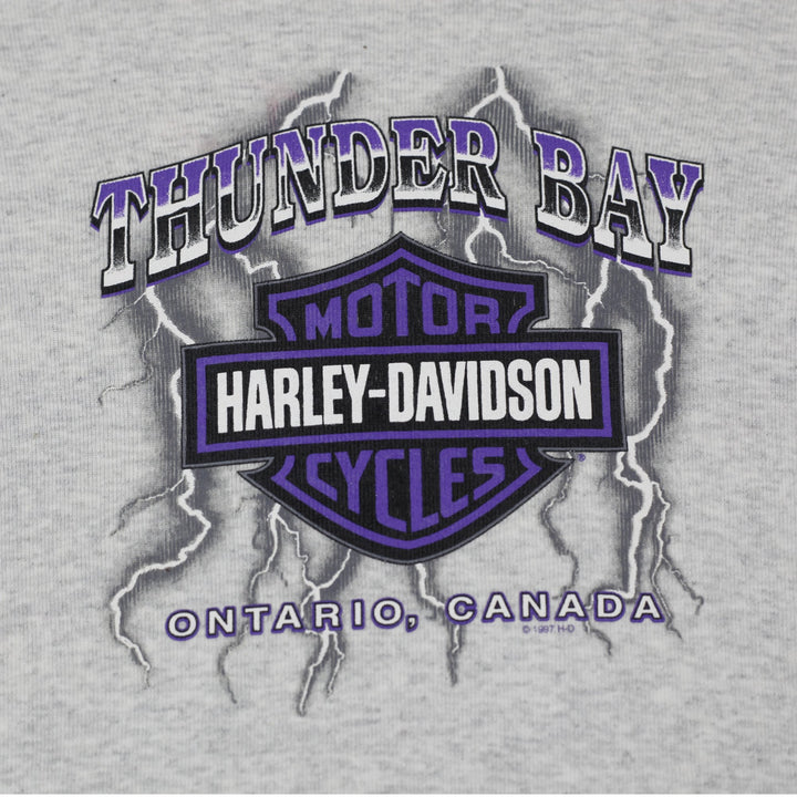 Ladies Harley Davidson Heather Gray Lettuce Edge Long Sleeve Top Graphic